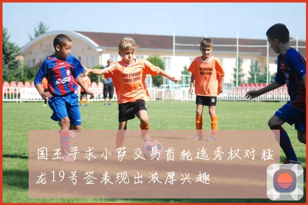 国王寻求小萨交易首轮选秀权对猛龙19号签表现出浓厚兴趣